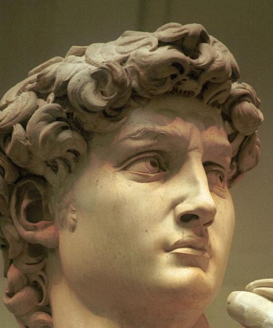 Michelangelo David head and hand detail